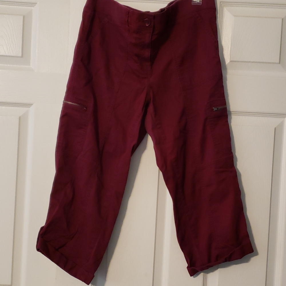 LOFT Burgundy Cropped Pants